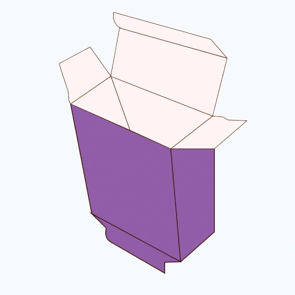 Bottom closure box style