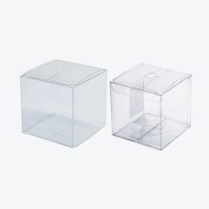 Custom Clear PVC Boxes