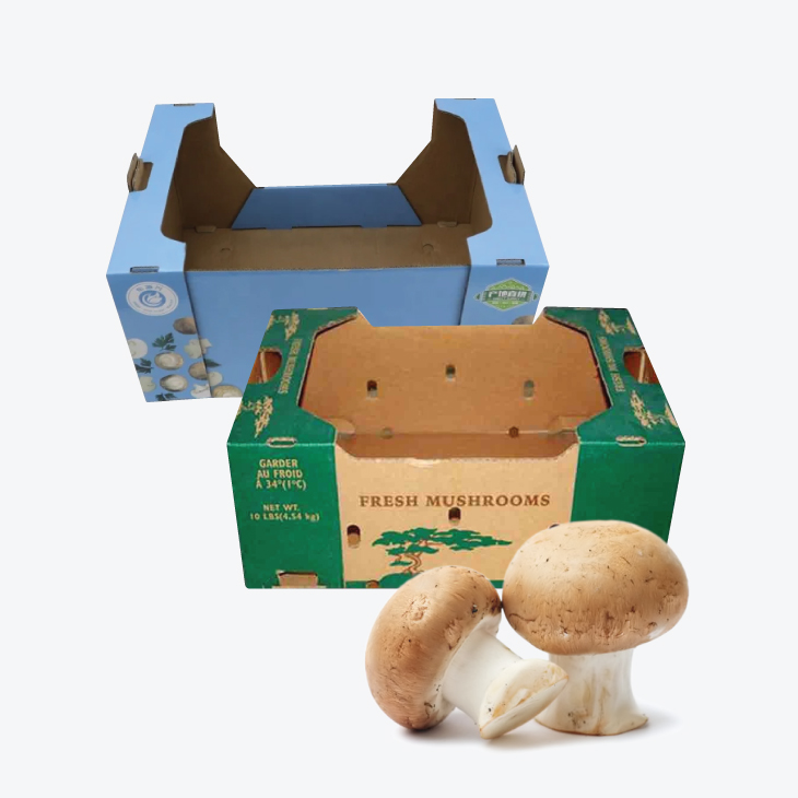 Mushroom Boxes Packaging