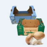 Printed mushroom boxes